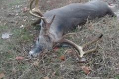 North Carolina buck shot from a Rack Shack
